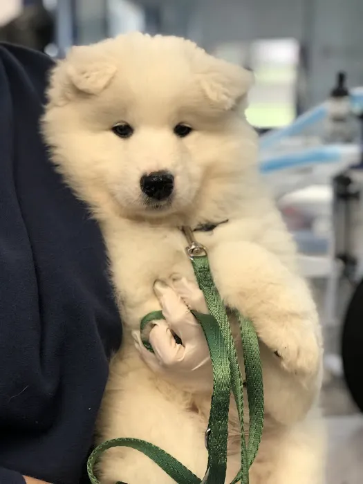 Brandywine Valley Veterinary Hospital 10