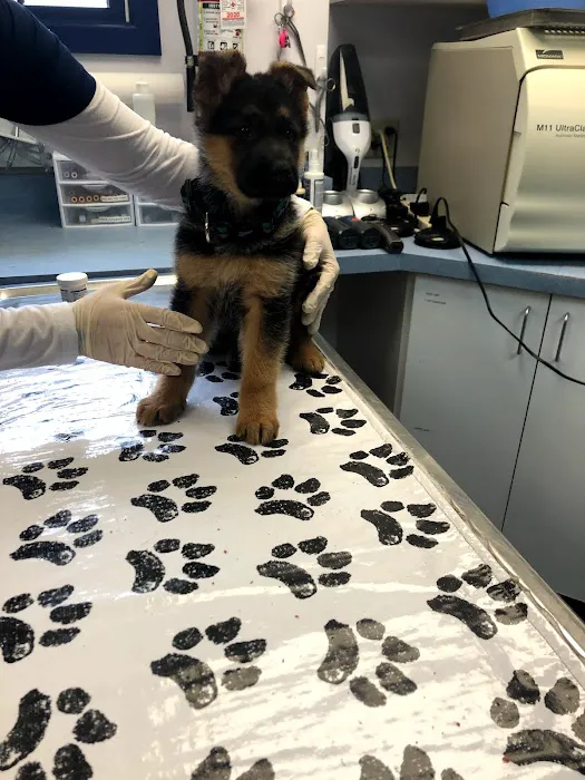 Brandywine Valley Veterinary Hospital 9