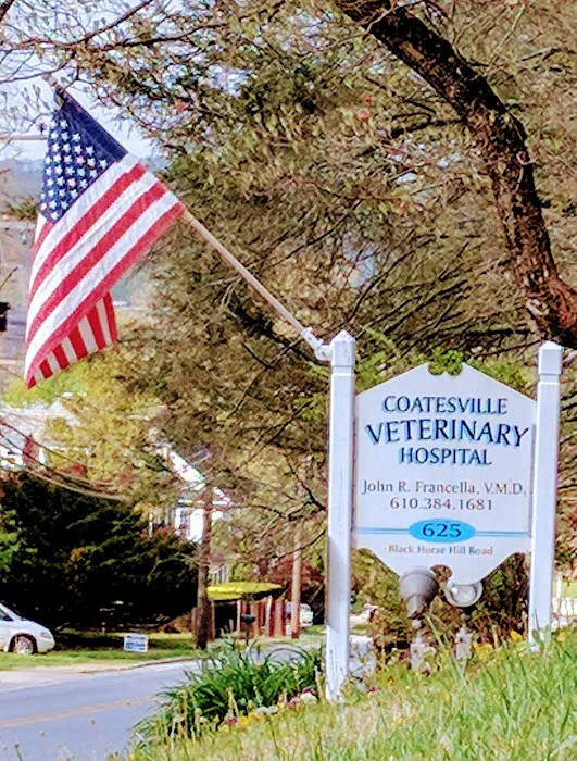 Coatesville Veterinary Hospital 5