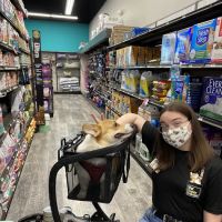Pet Supermarket ico