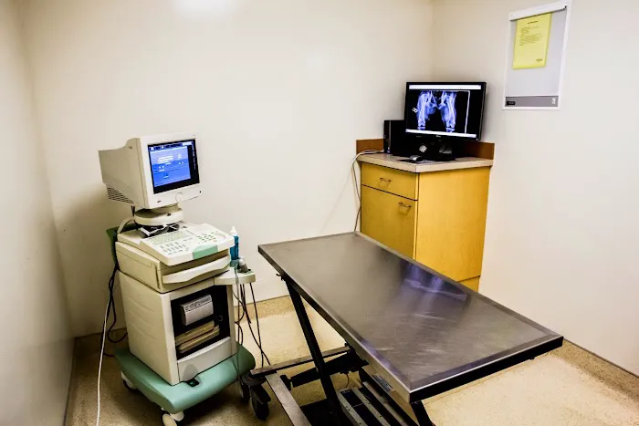 Glenmoore Veterinary Hospital 2