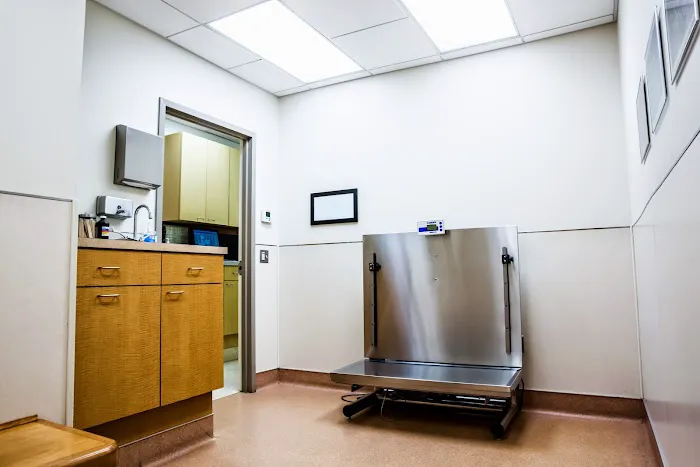 Glenmoore Veterinary Hospital 4