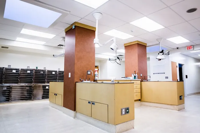 Glenmoore Veterinary Hospital 5