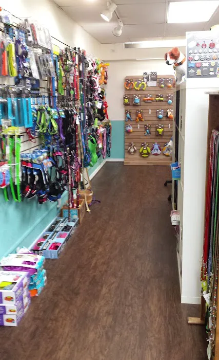 Gurrs & Purrs Boutique 12