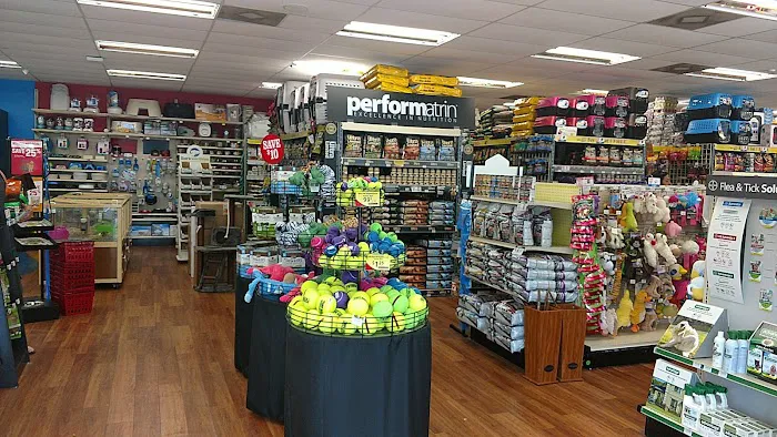 Pet Supermarket 12