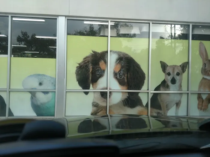 Pet Supermarket 12
