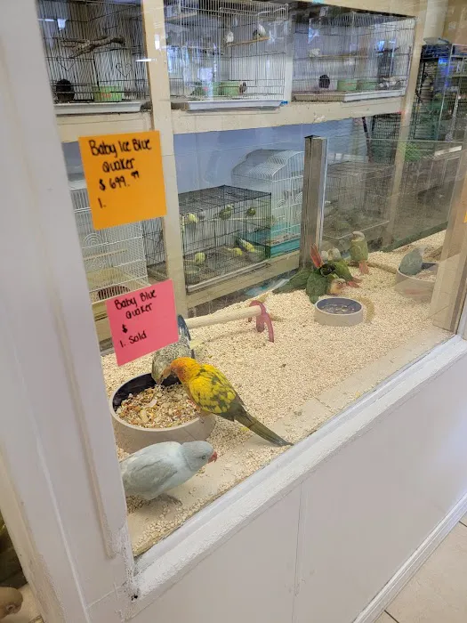 Fosters Exotic Pet Center 4