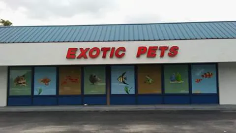 Fosters Exotic Pet Center 5