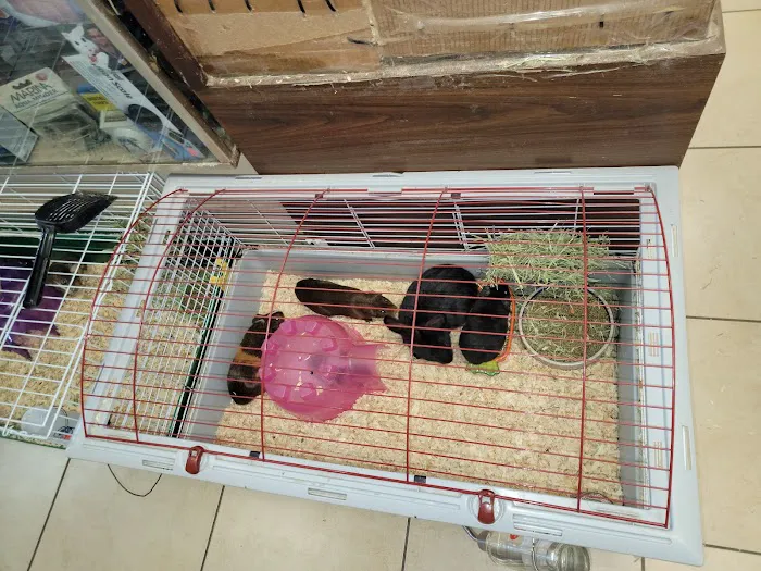 Fosters Exotic Pet Center 3