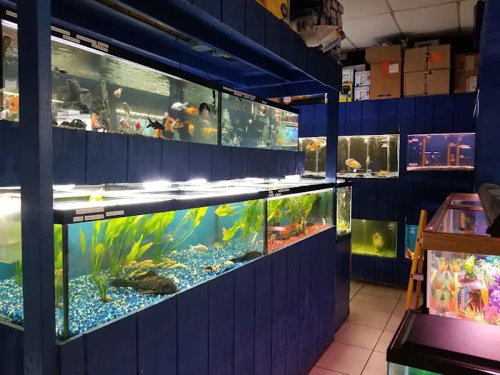 Fosters Exotic Pet Center 7