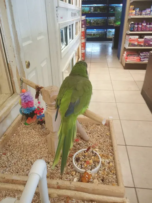 Fosters Exotic Pet Center 6