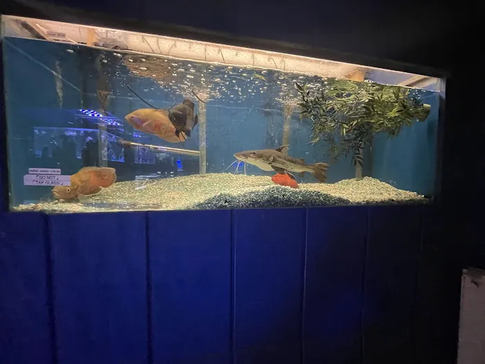 Fosters Exotic Pet Center 9