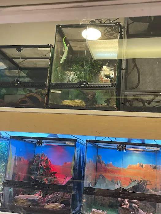 Fosters Exotic Pet Center 10
