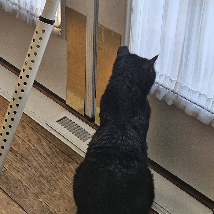 Faithful Friends Veterinary Clinic 12