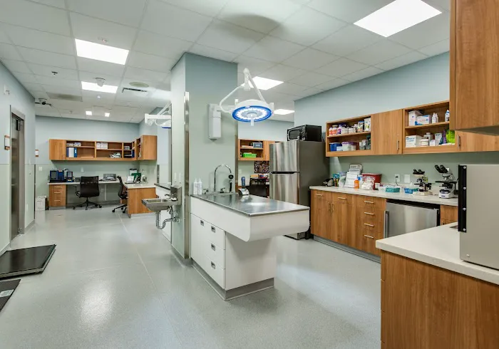 Faithful Friends Veterinary Clinic 12