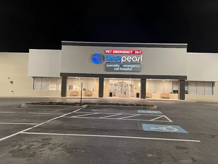 BluePearl Pet Hospital 12