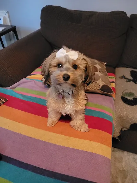 Banfield Pet Hospital 3