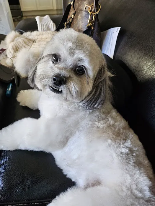 Banfield Pet Hospital 9