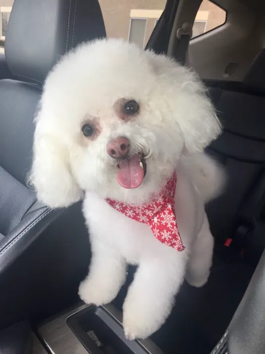 Banfield Pet Hospital 4