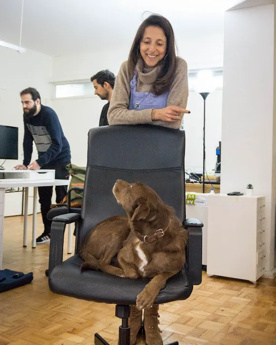 Maven Pet 12