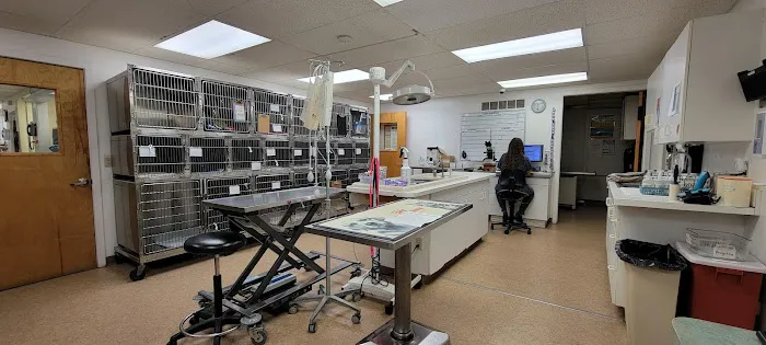 VCA Kirkwood Animal Hospital 12