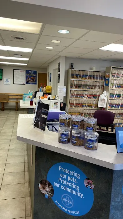 VCA Kirkwood Animal Hospital 12