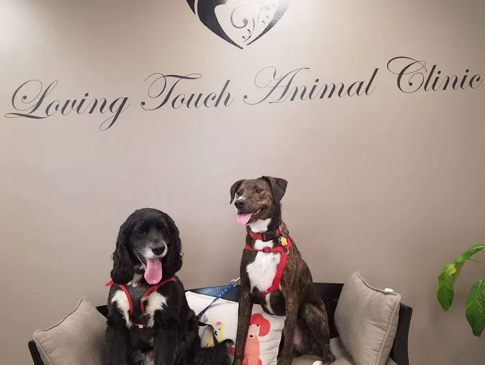Loving Touch Animal Clinic 12