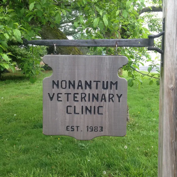 Nonantum Veterinary Clinic Inc 10