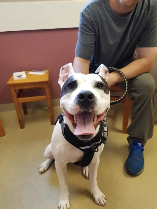 Crest VIEW Animal Clinic 5
