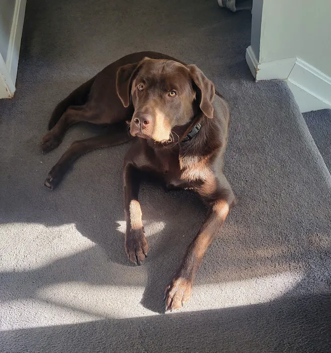Crestview Animal Clinic: Sachs Harry R DVM 2