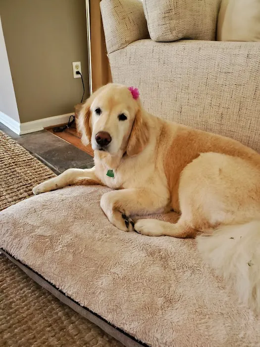 Crestview Animal Clinic: Sachs Harry R DVM 4