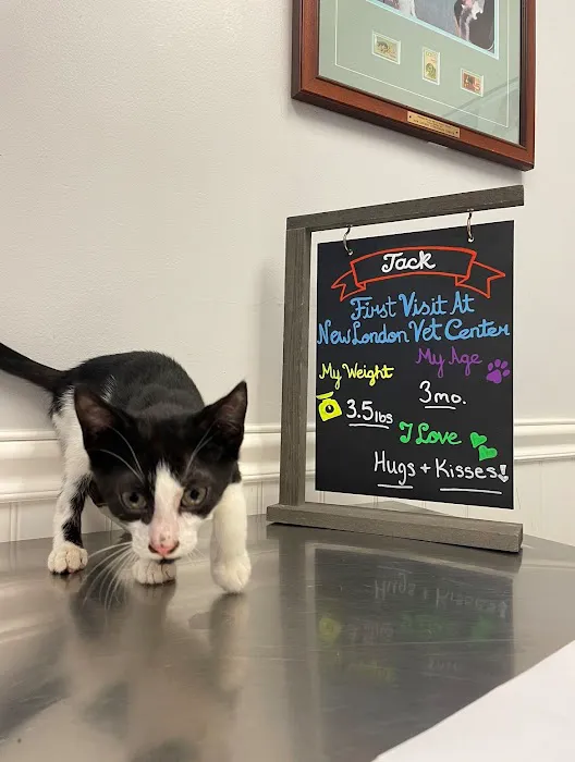 New London Veterinary Center 7