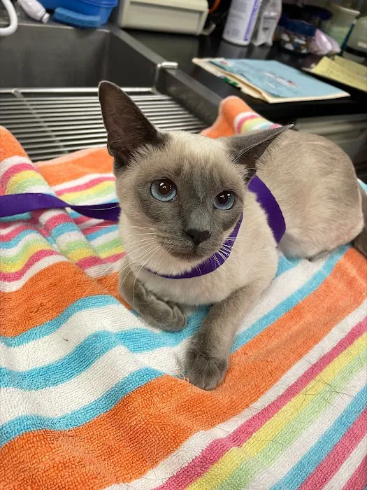 New London Veterinary Center 6