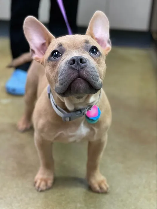 New London Veterinary Center 8