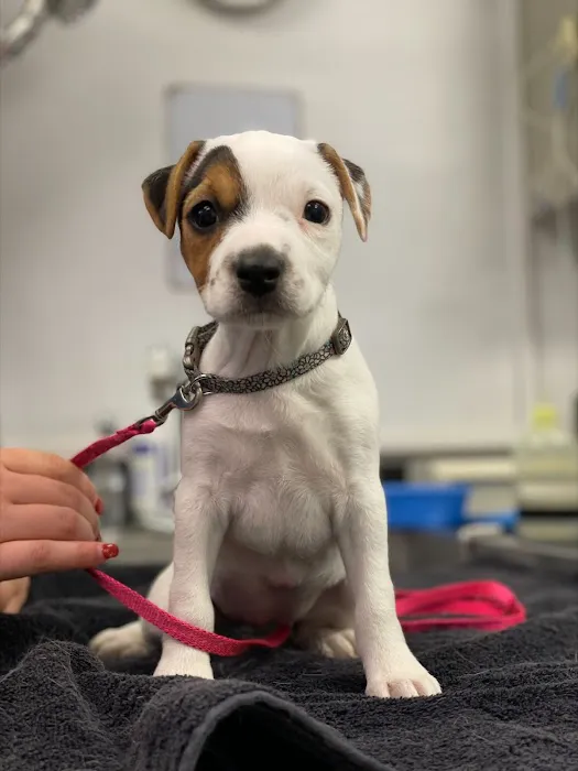 New London Veterinary Center 5