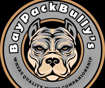 BaypackBullys
