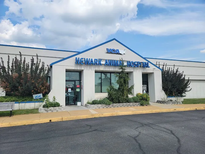 VCA Newark Animal Hospital 12