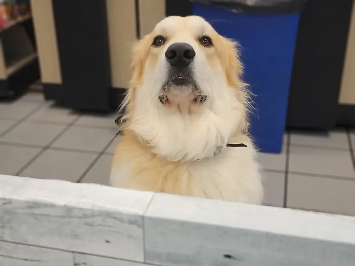 VCA Newark Animal Hospital 12