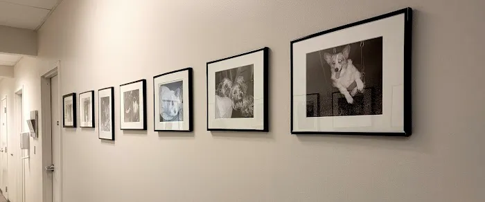 VCA Newark Animal Hospital 12