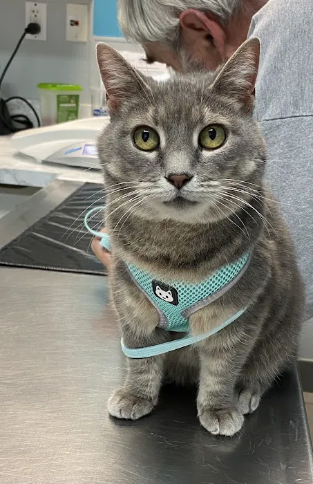 VCA Newark Animal Hospital 12