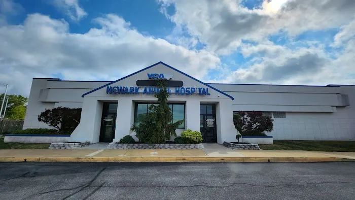 VCA Newark Animal Hospital 12