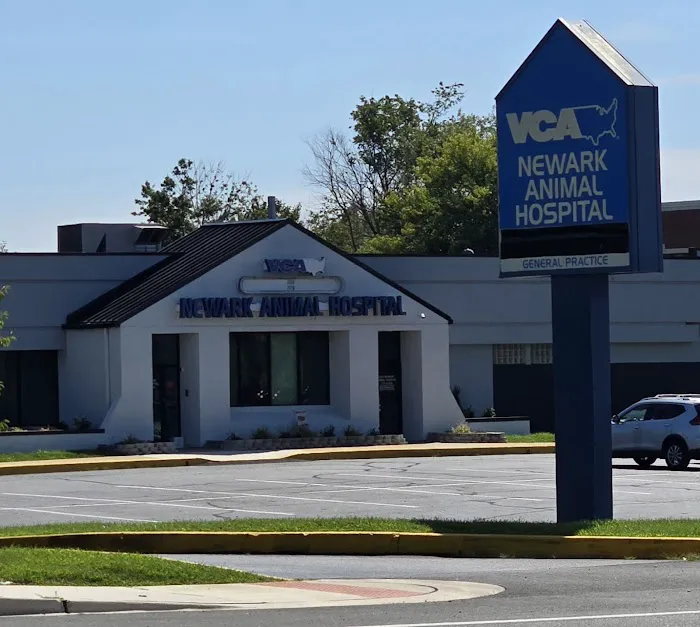 VCA Newark Animal Hospital 12