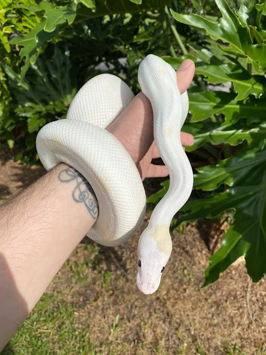 Southeast Reptile Exchange Inc. 3