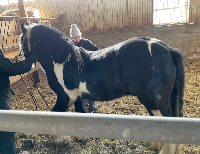Unionville Equine Associates PC 1