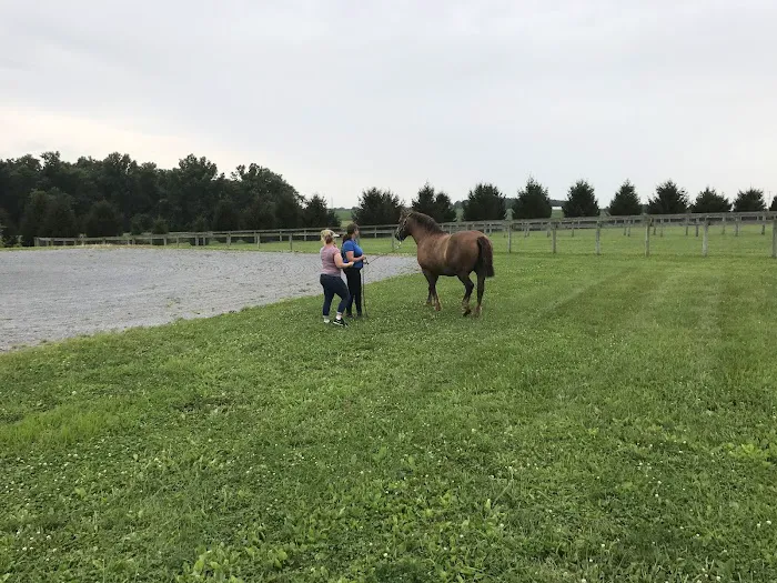 Unionville Equine Associates PC 3