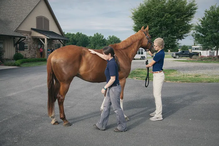 Unionville Equine Associates PC 7