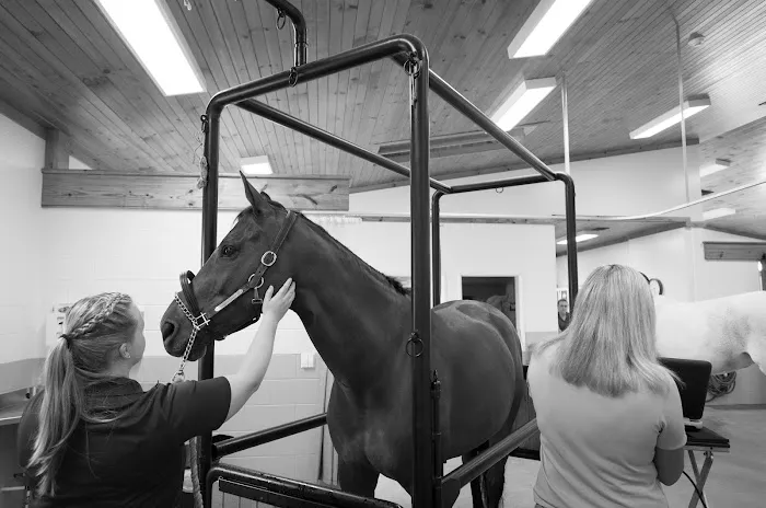 Unionville Equine Associates PC 9