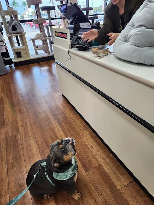 Pet Supermarket 12