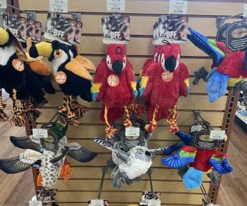 Pet Supermarket