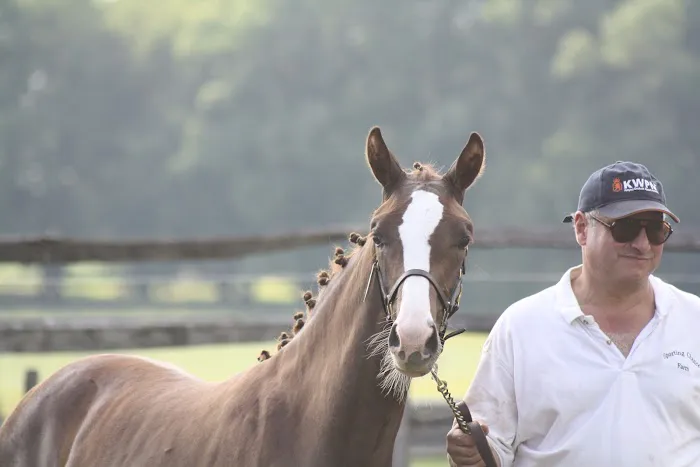 Complete Equine Health Services 3